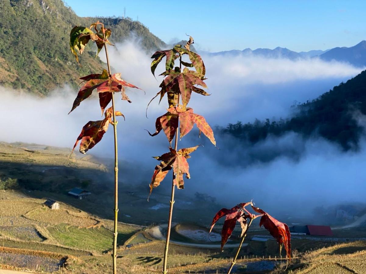 होटल Garden 3*